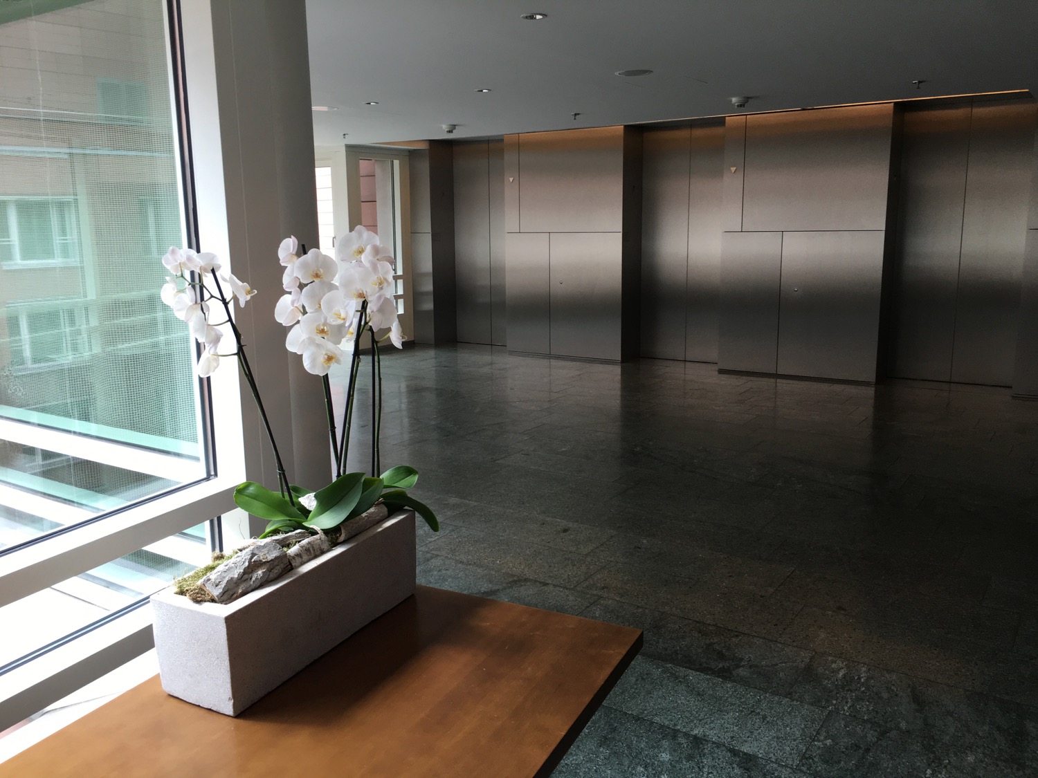 a planter with white flowers in a room with elevators