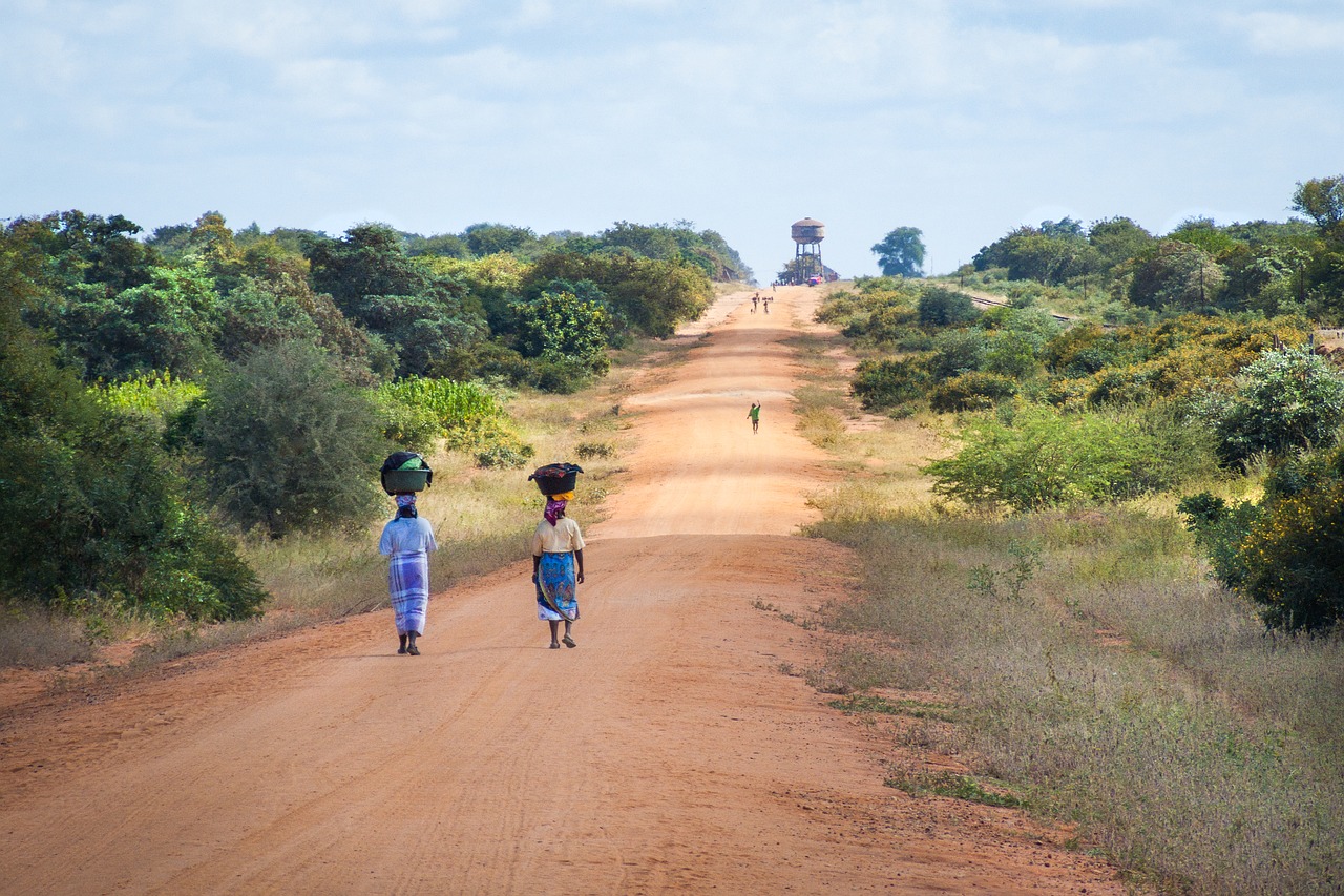 a group of people walking on a dirt road with trees
