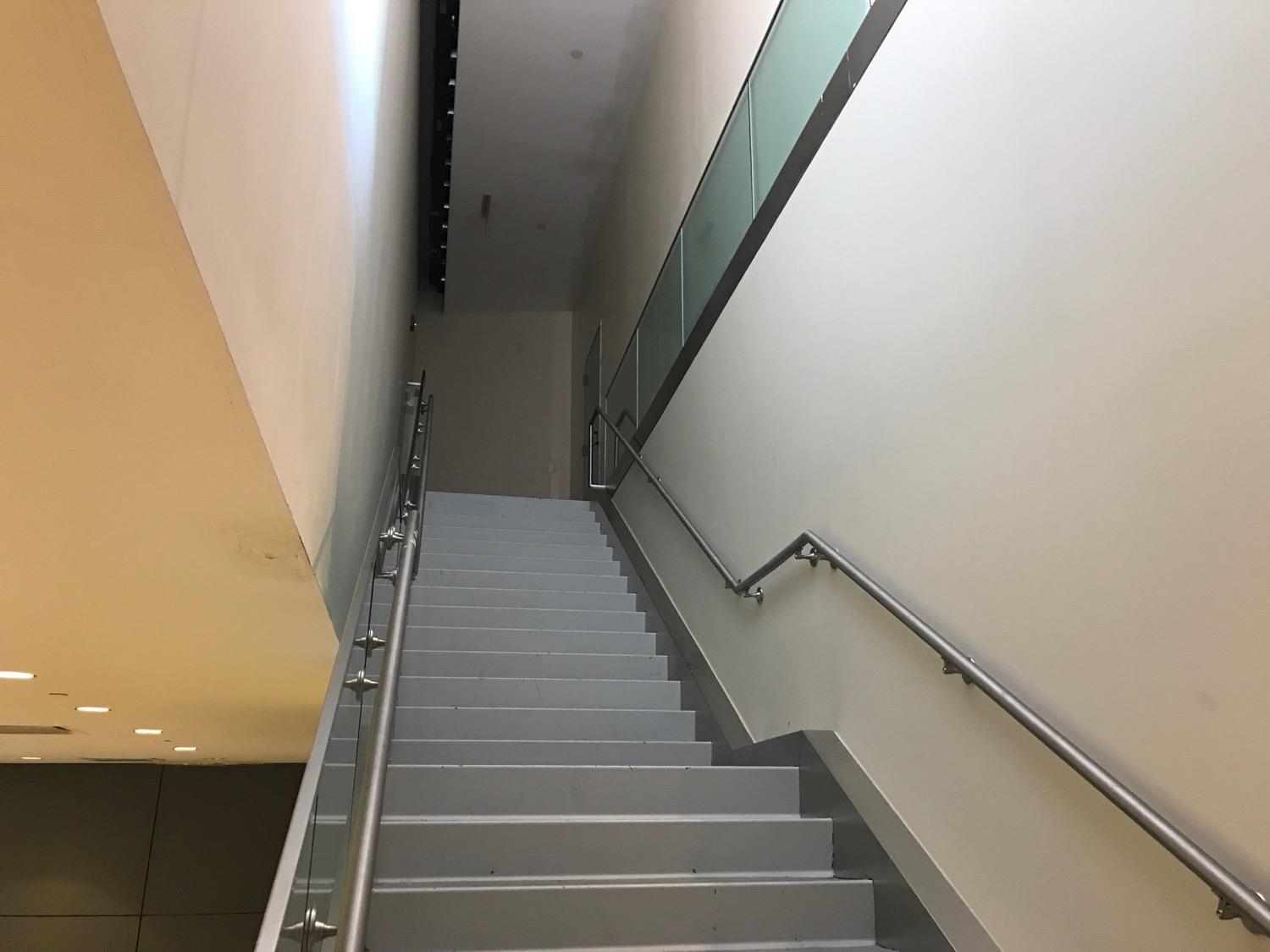 a staircase with handrails in a building