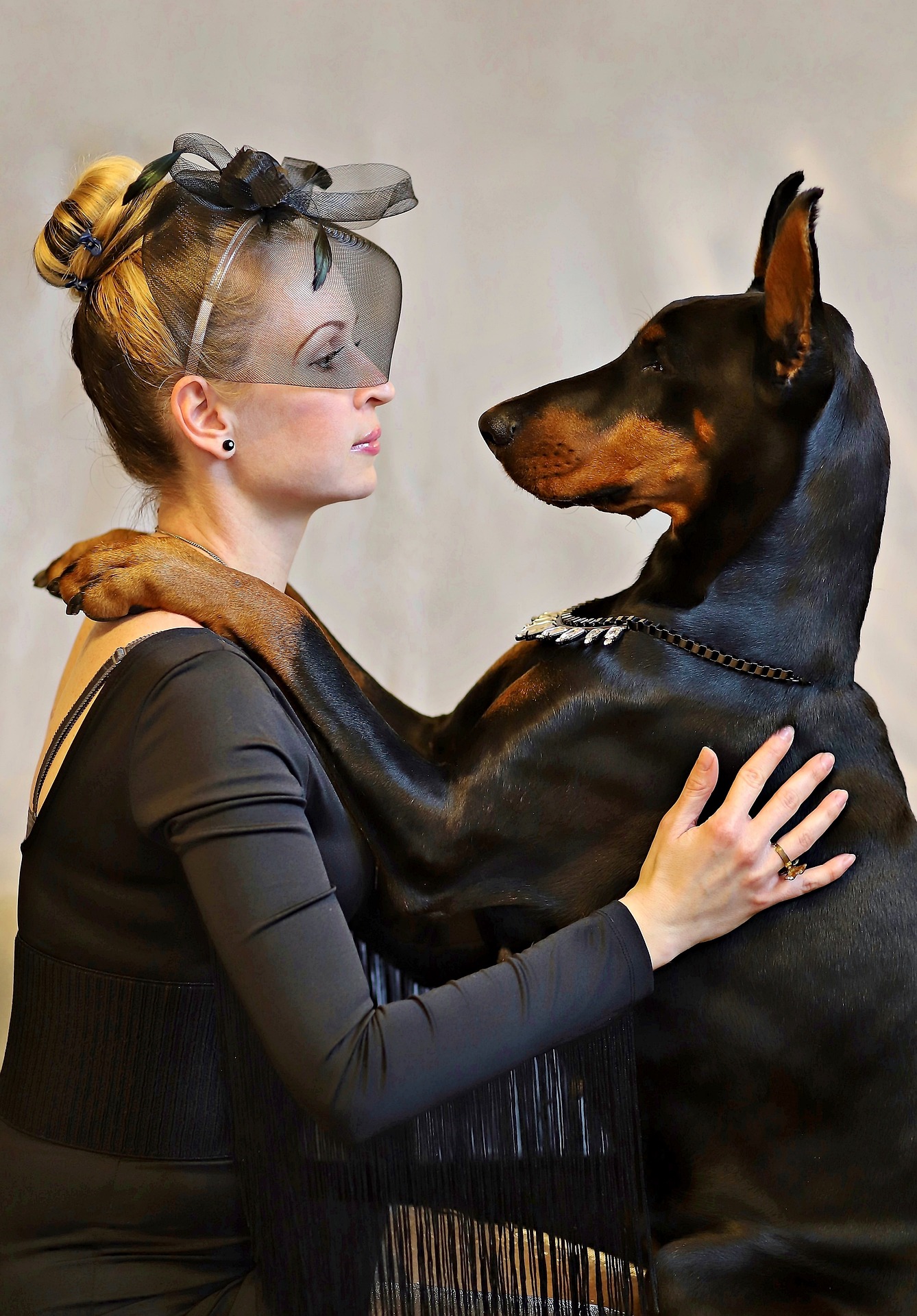 can I fly with my doberman? 2