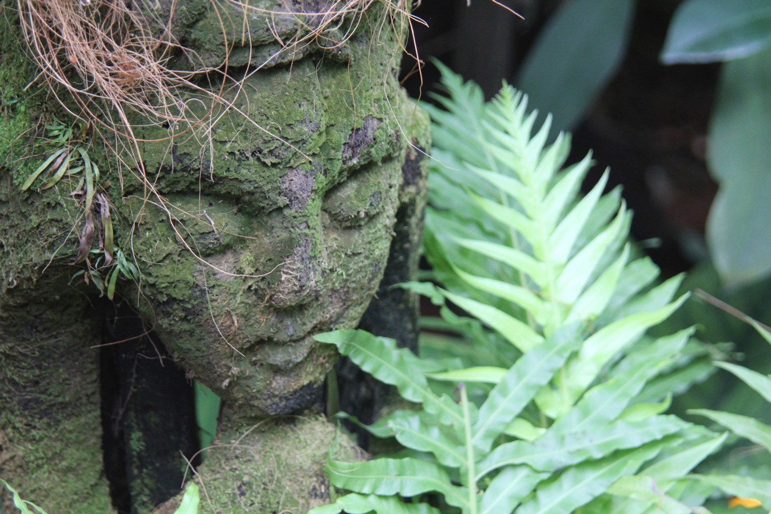 a statue with moss on it