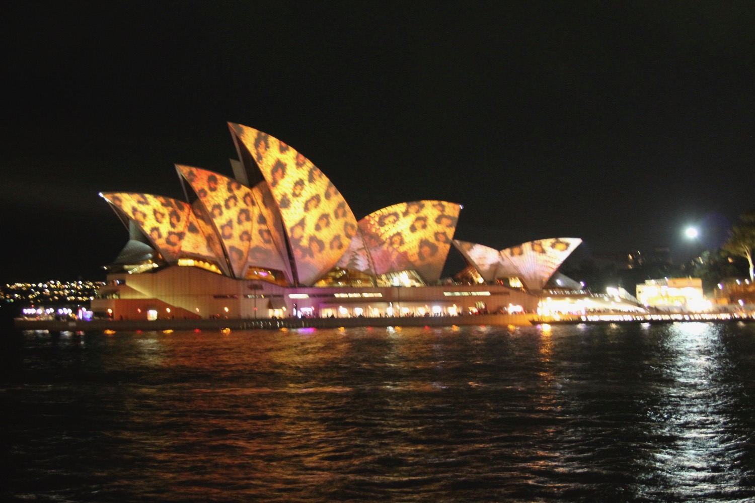 Sydney Opera House with a structure with a large structure with a large structure with a large structure with a large structure with a large structure with a large structure with a large structure with a large structure with a