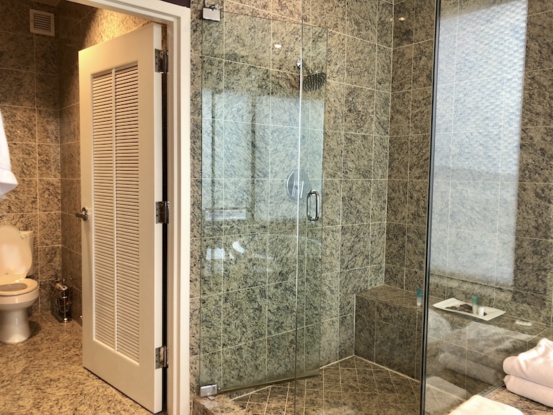 Master Bathroom: Walk-in shower and toilet