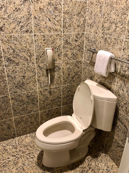Guest bathroom toilet