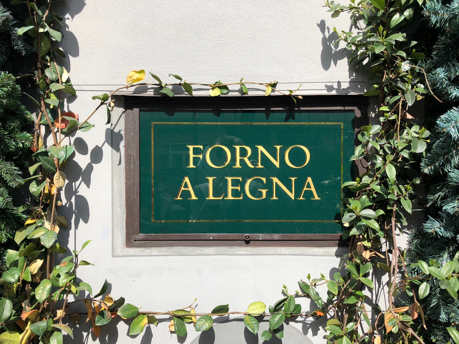 a sign on a wall with vines around it