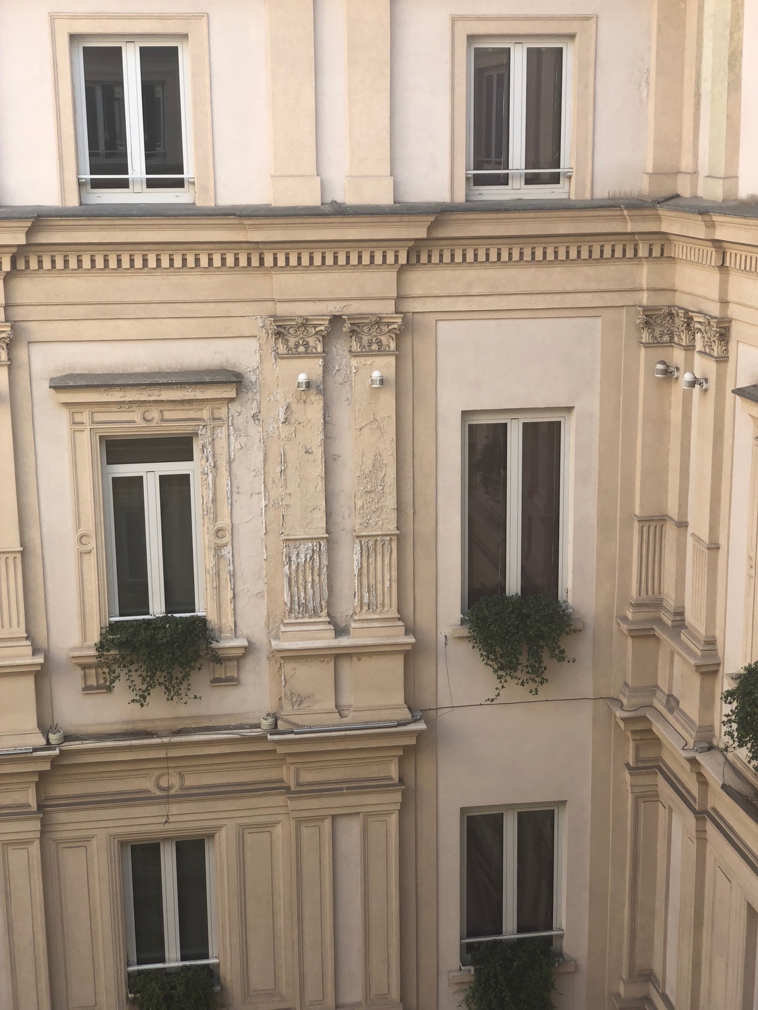 a building with plants on the windows