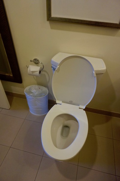 Nothing in the toilet, recently cleaned