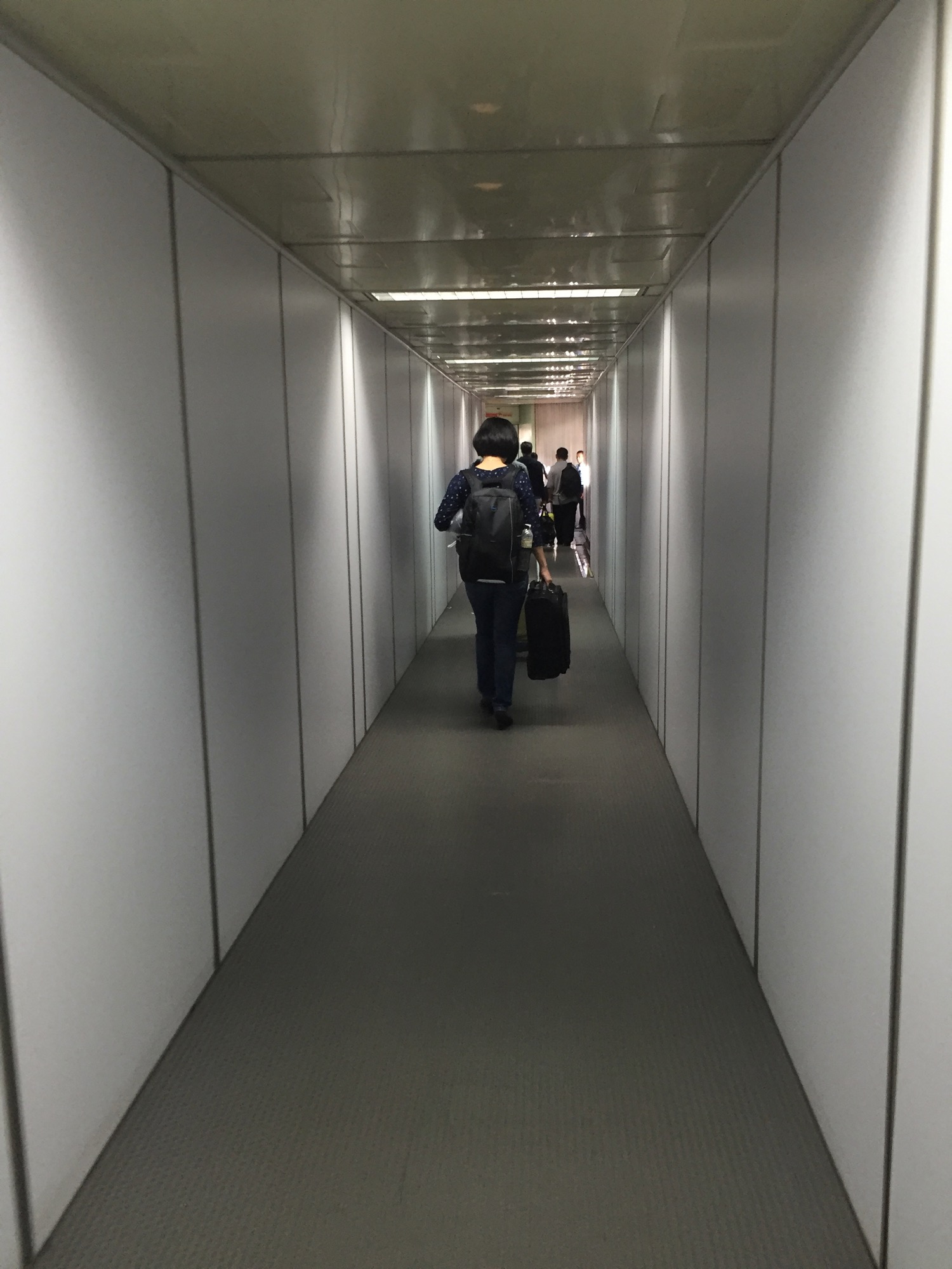 a person carrying luggage in a hallway