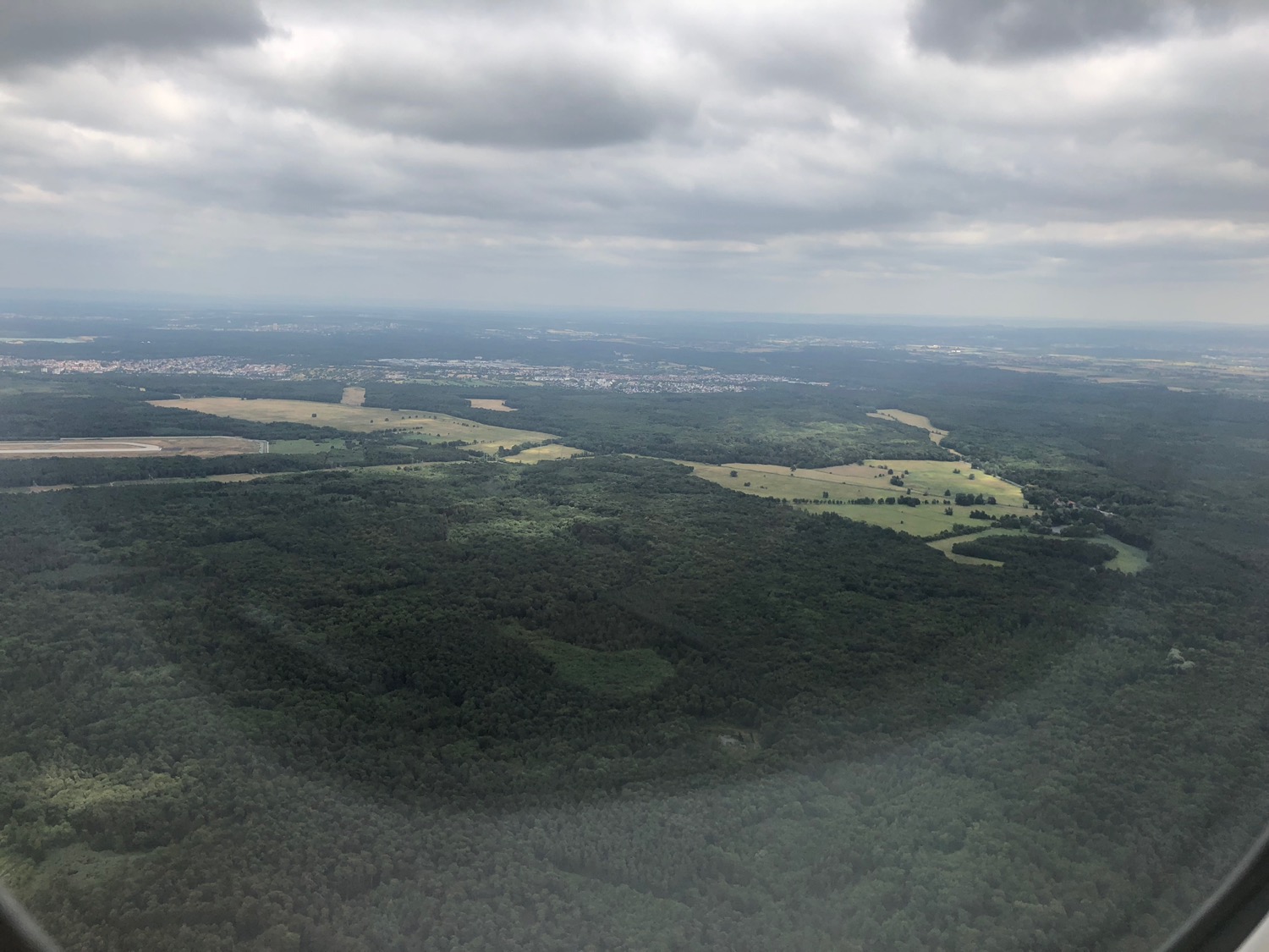 an aerial view of a forest