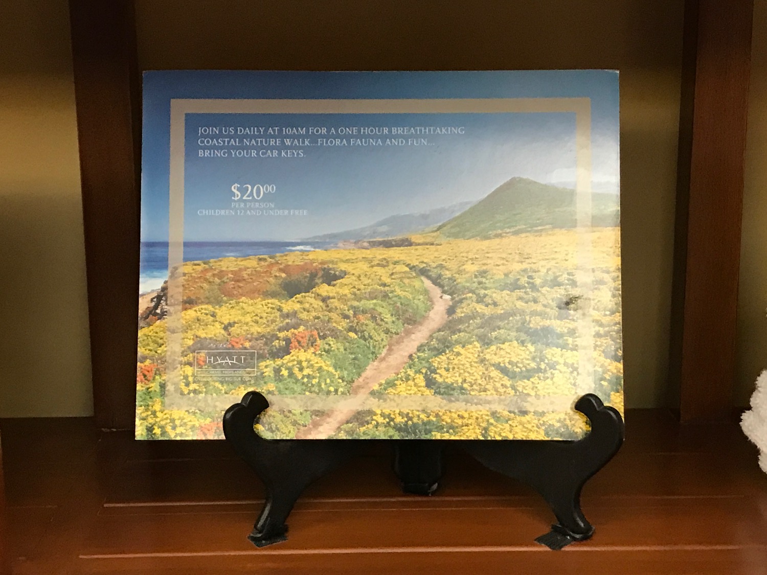 a picture of a landscape on a shelf