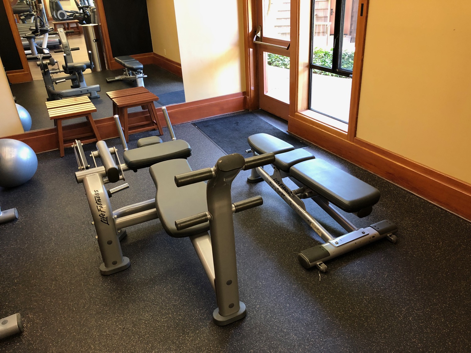 a gym with weights and a bench