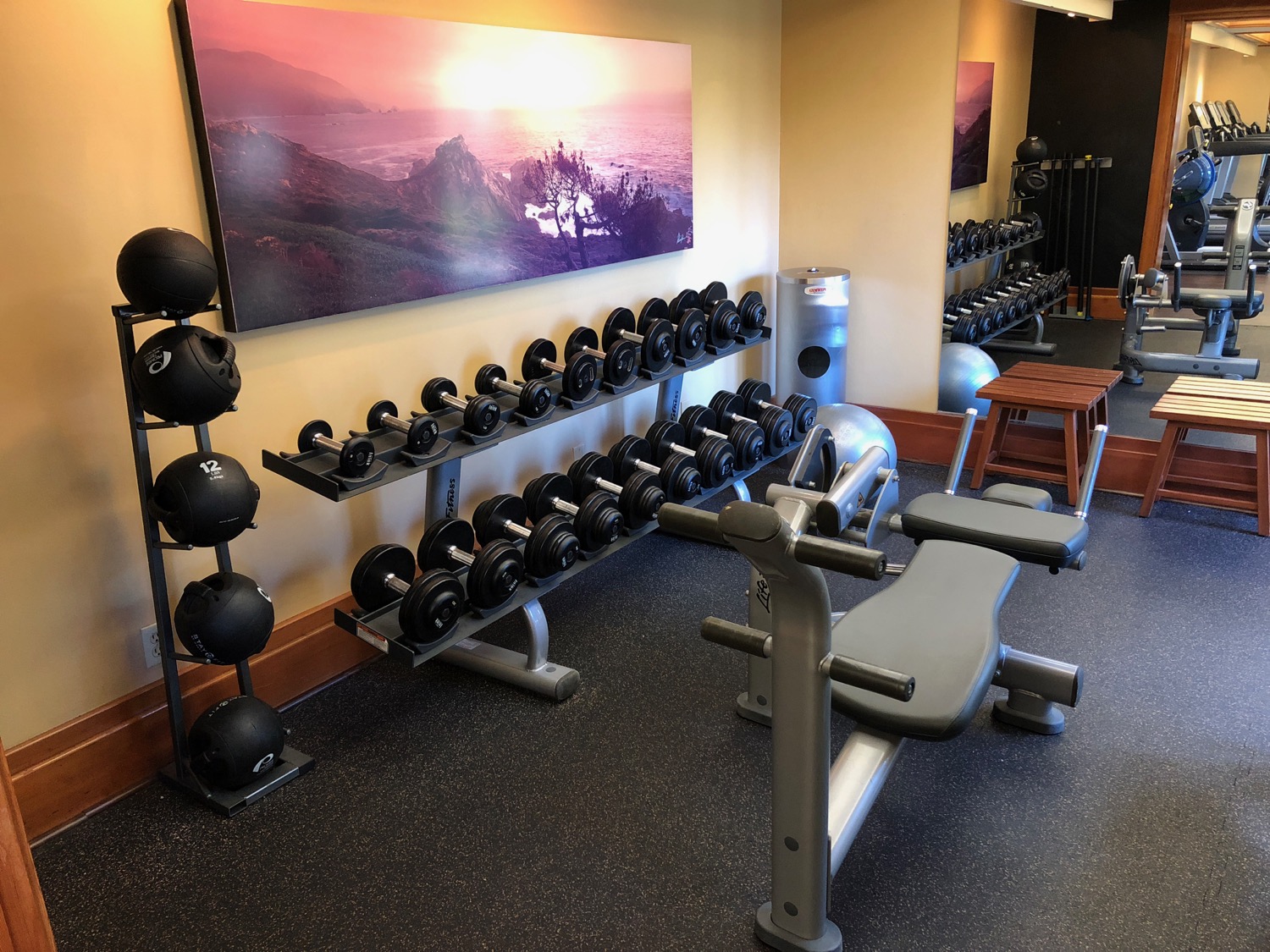 a room with weights and a wall of equipment