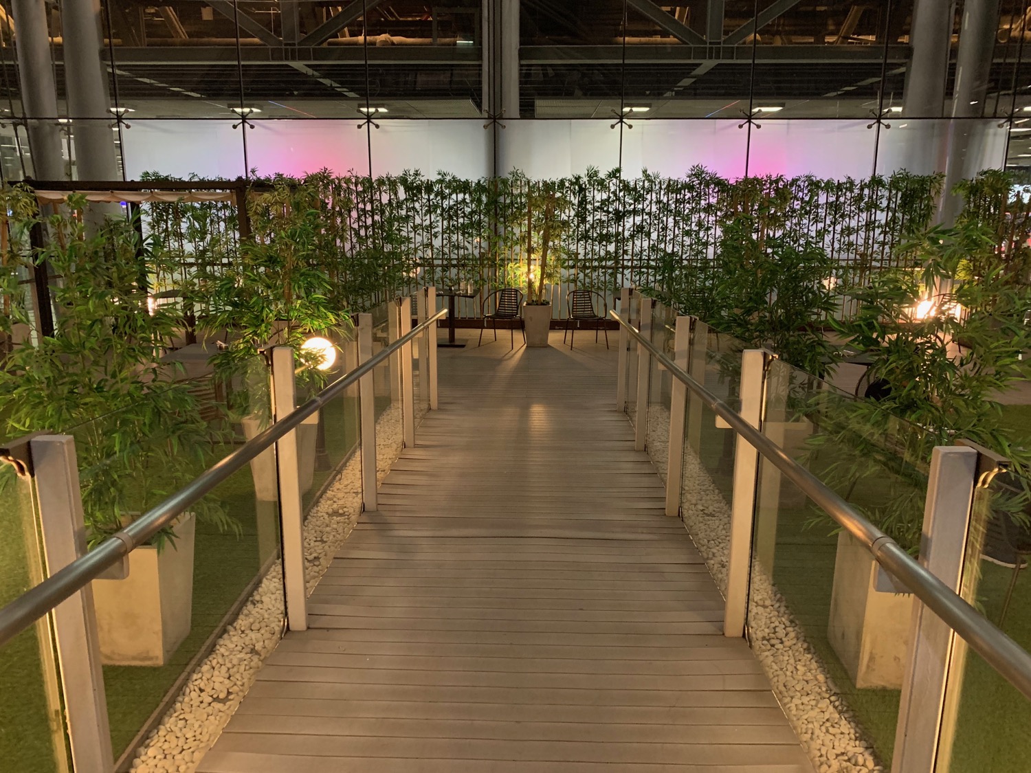 a walkway with plants and a glass wall