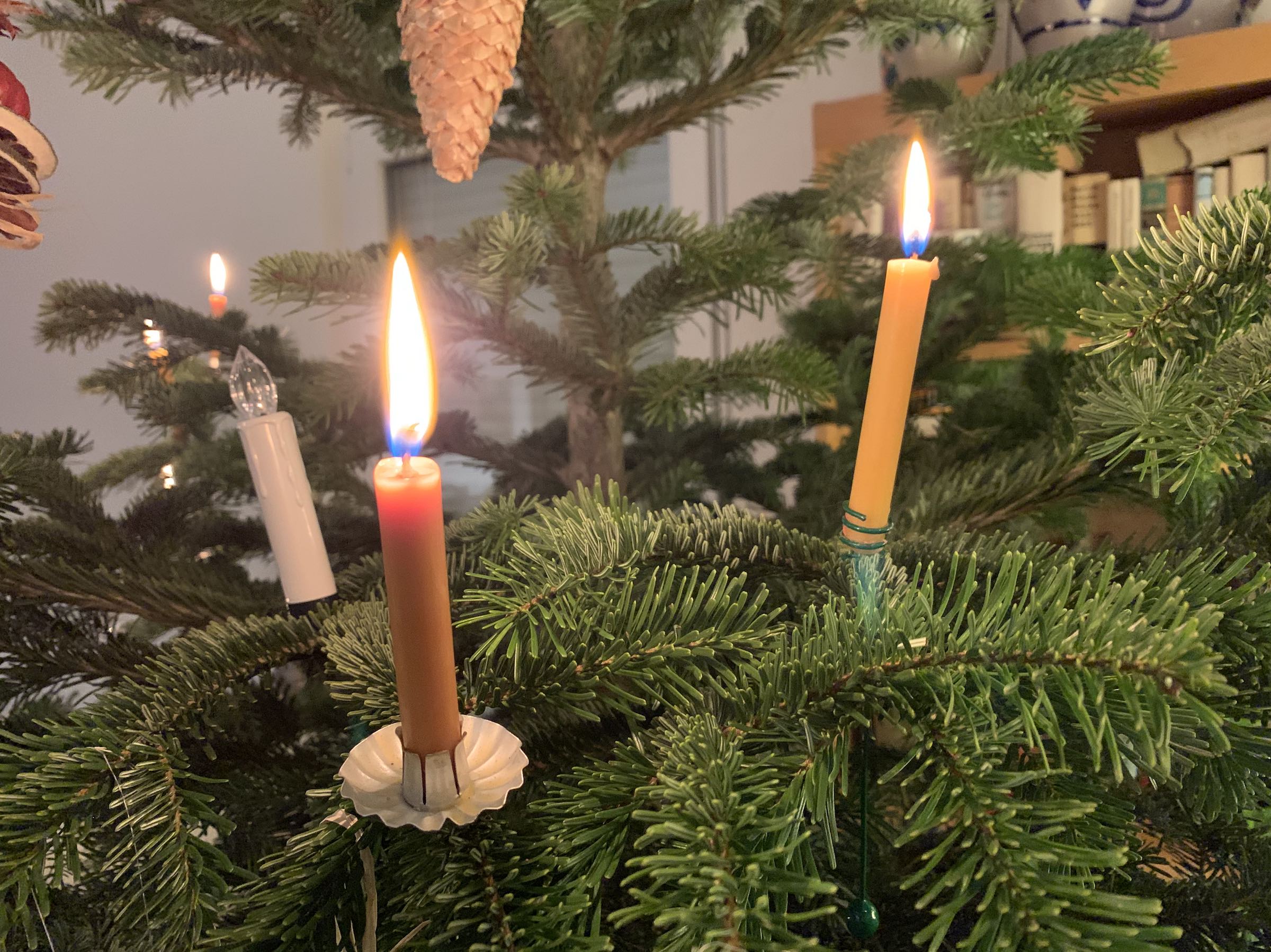 a lit candles on a tree
