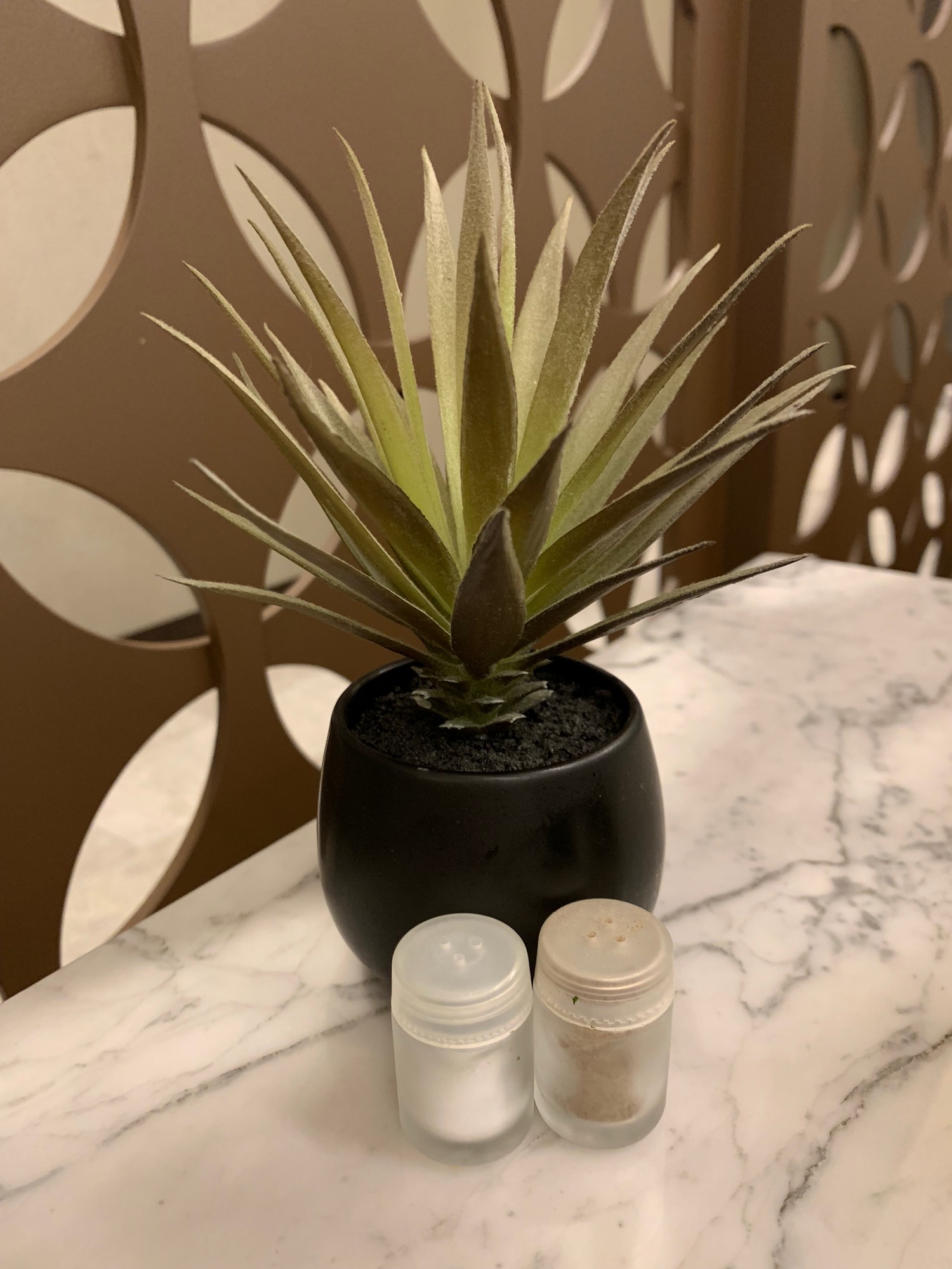 a plant in a pot next to salt and pepper shakers