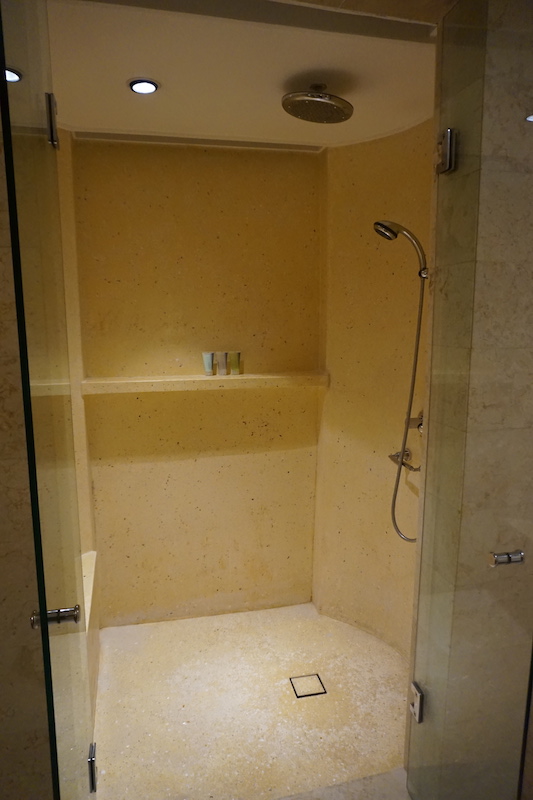 Huge Shower with seating