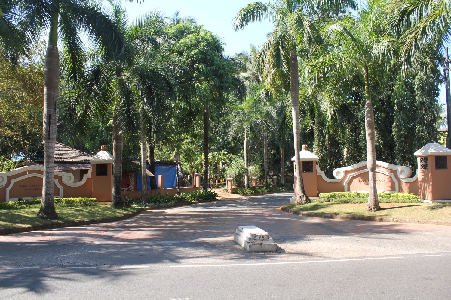 a road with palm trees and a house