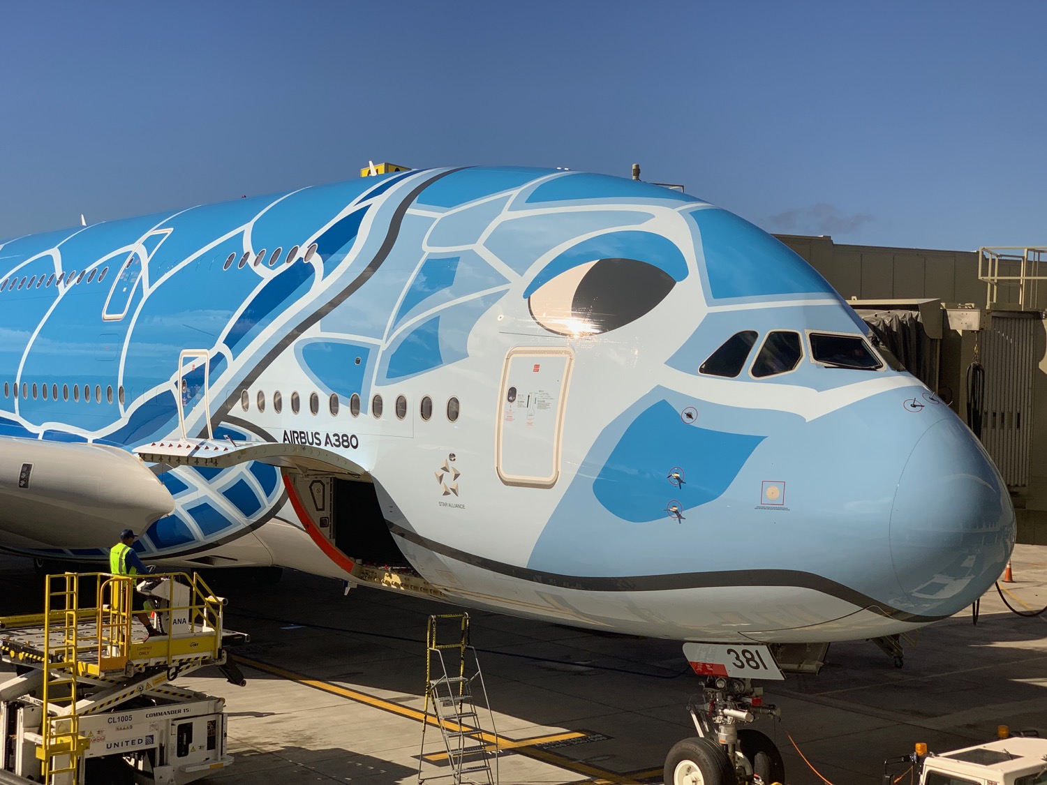 a blue and white airplane with a blue design on it