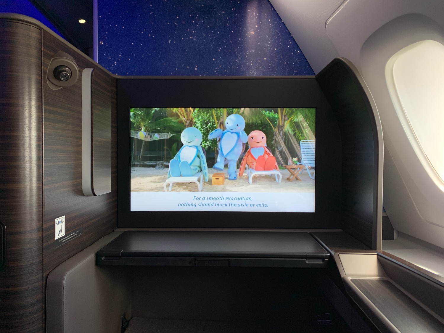 a television in an airplane