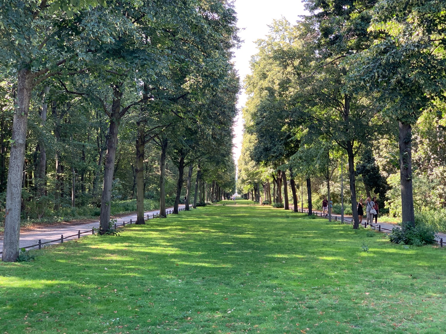 a path with trees and people walking