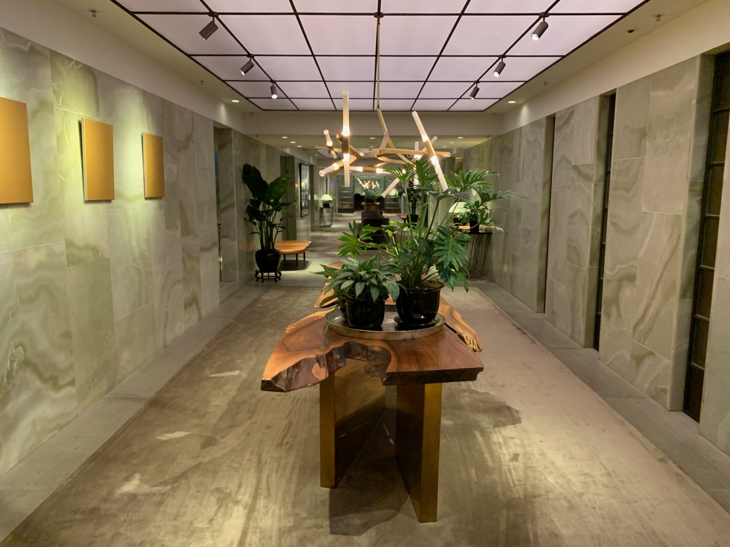 a hallway with a table and plants
