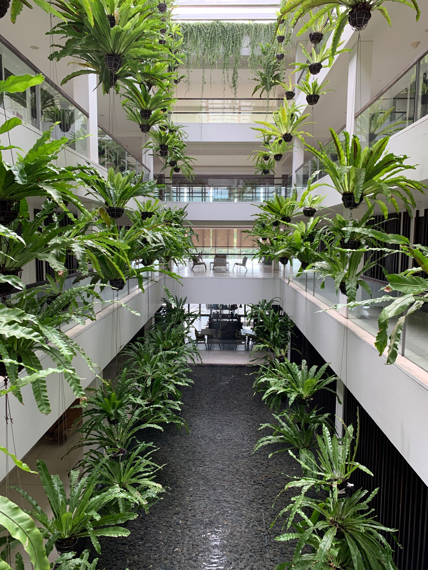 a building with many plants