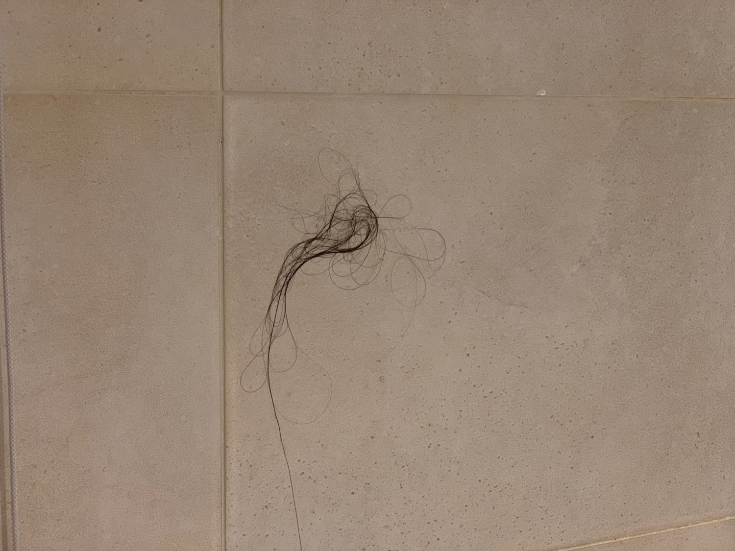 a hair on the floor