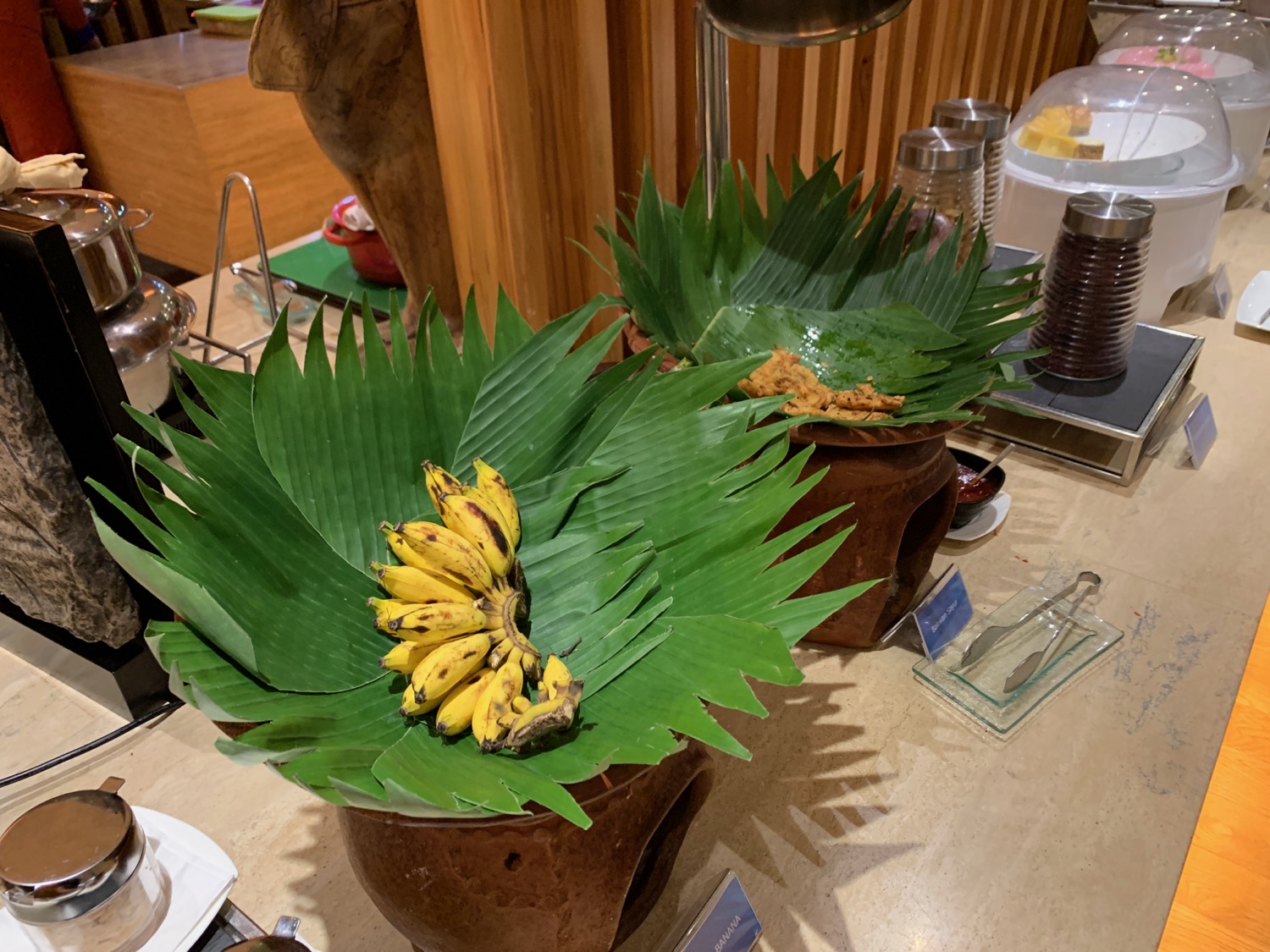 a bunch of bananas on a leafy plant