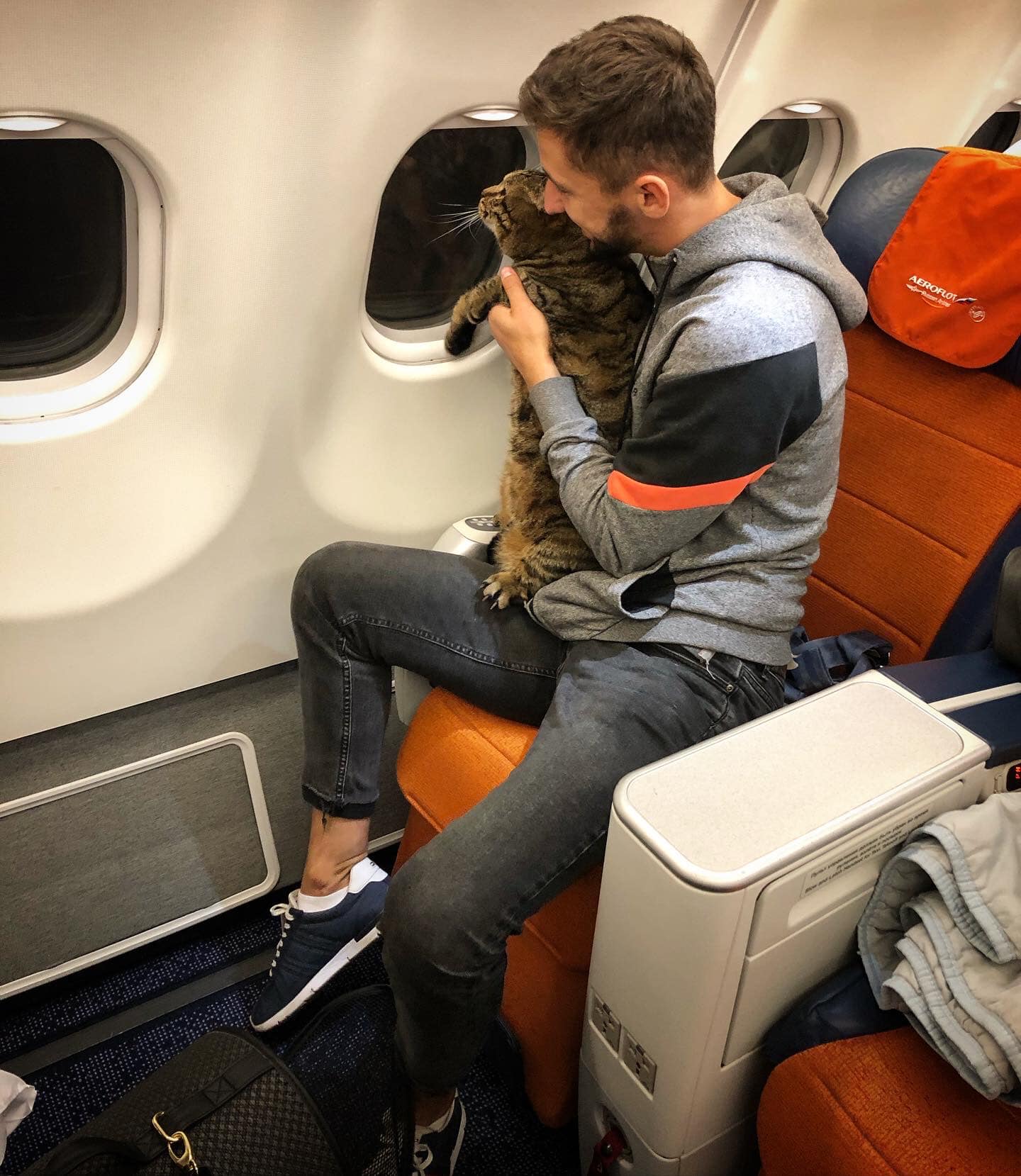 a man sitting on an airplane with a cat