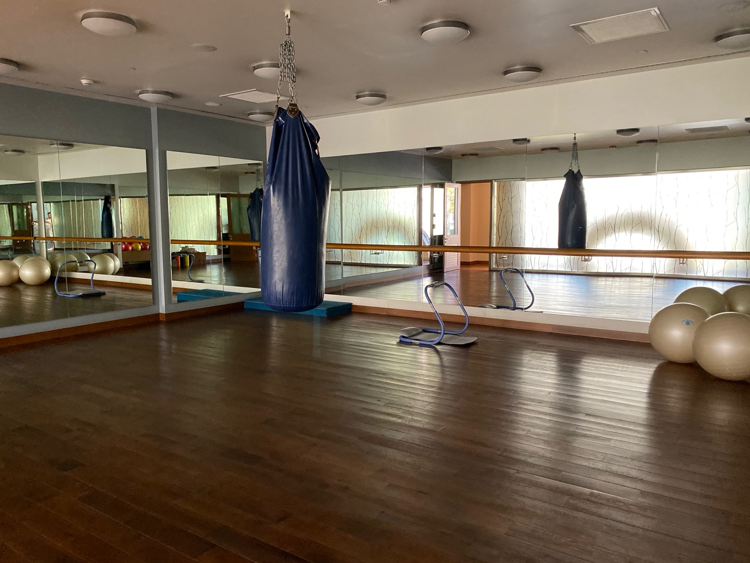 a gym with punching bags and a mirror