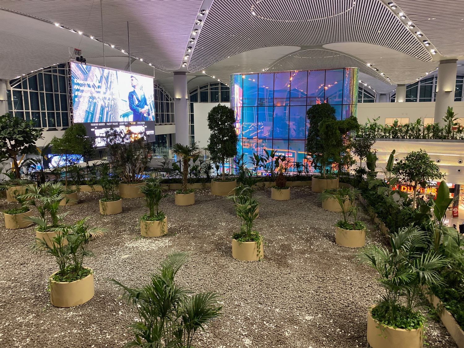 a large indoor garden with plants in pots