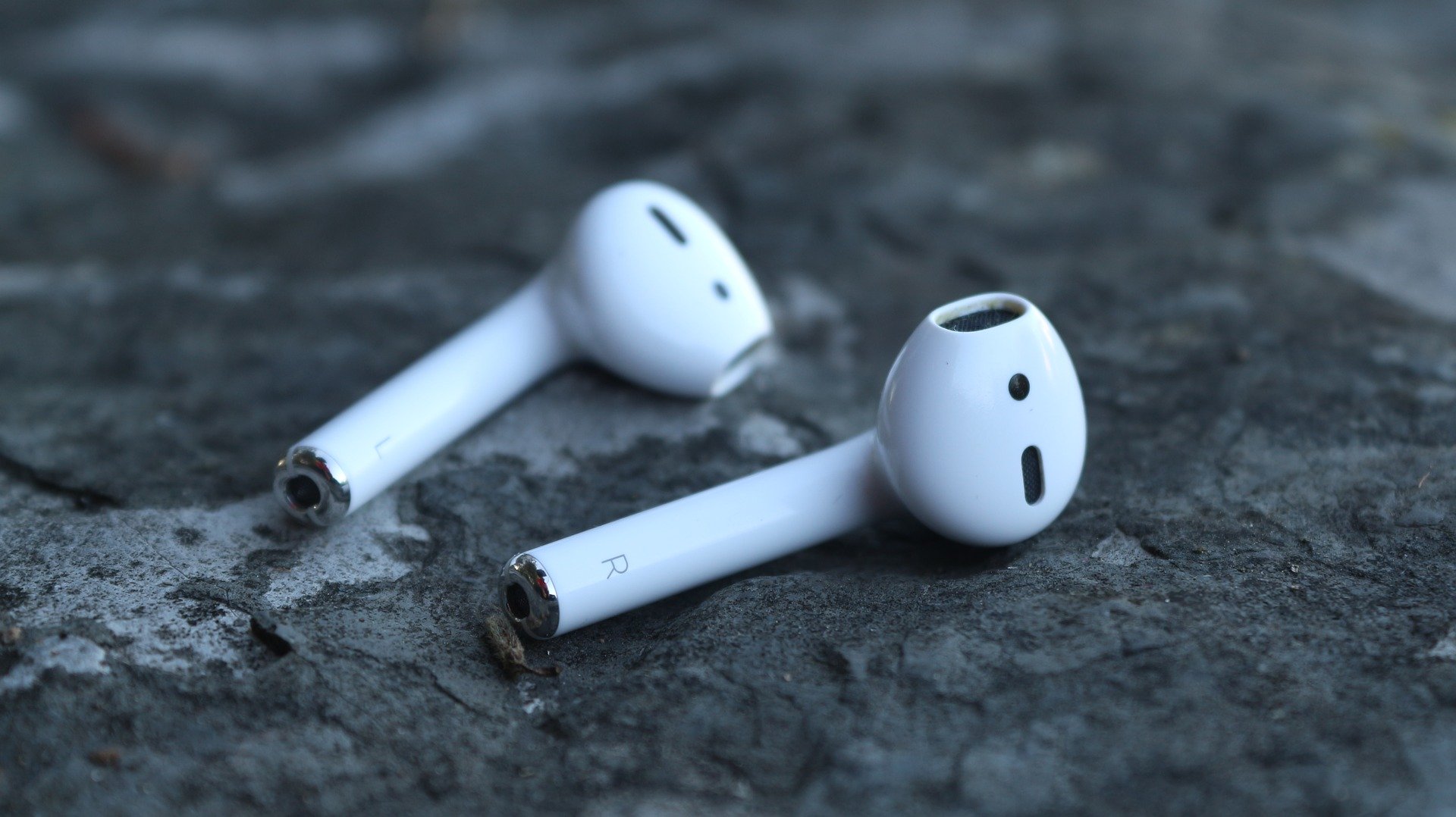 a pair of white earbuds on a rock