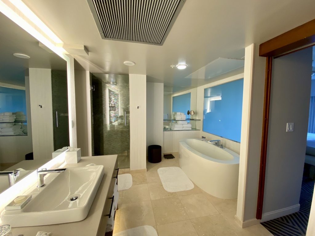 Master bathroom suite