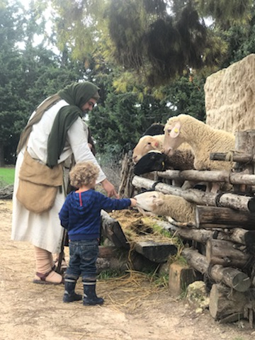 a man and child feeding sheep