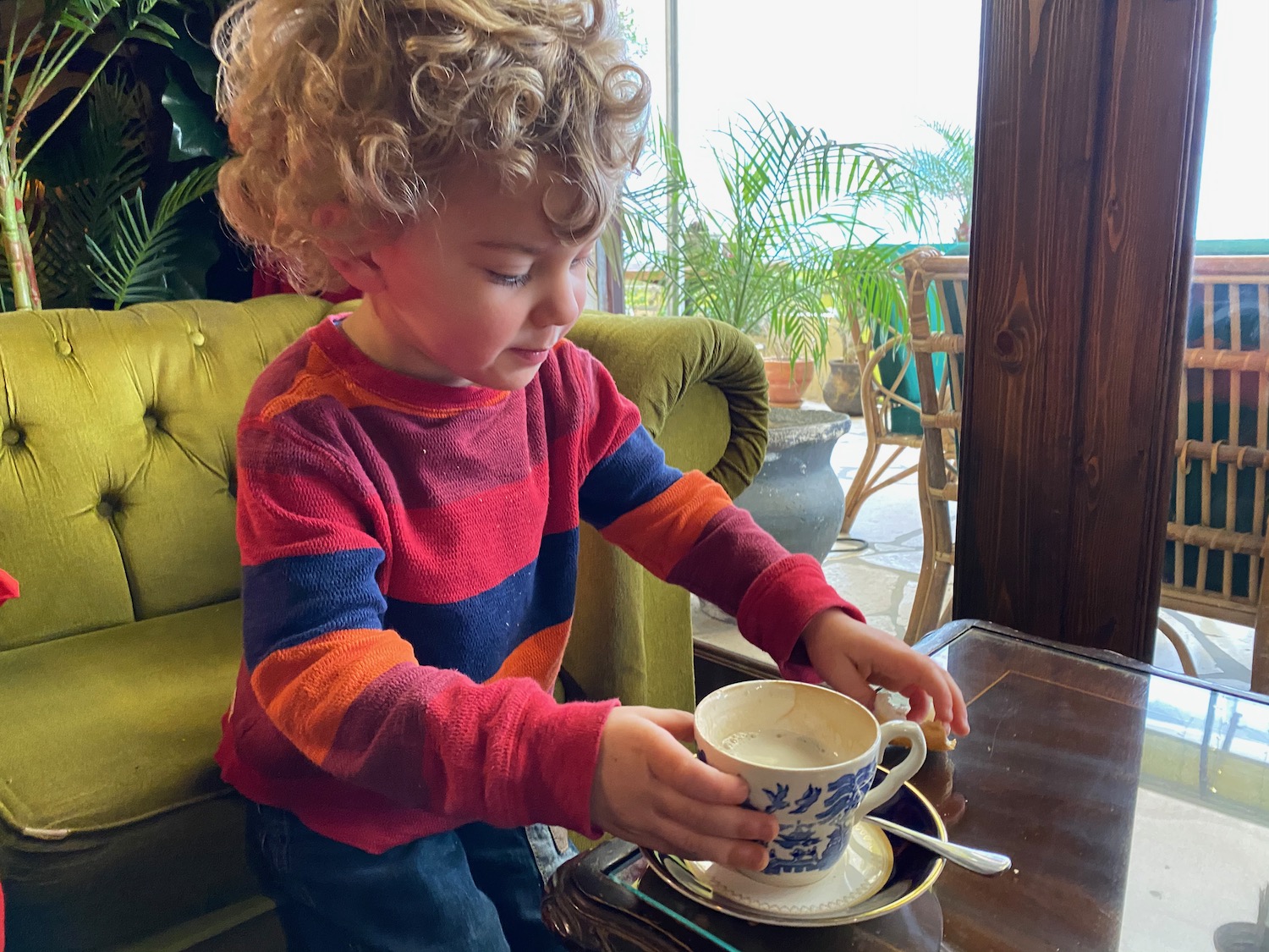 a child holding a cup of tea