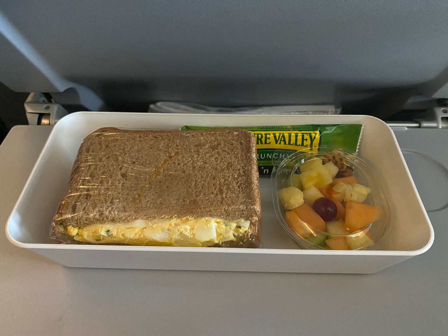 a sandwich and fruit in a tray