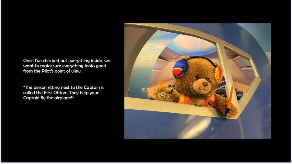 a stuffed animal in a plane