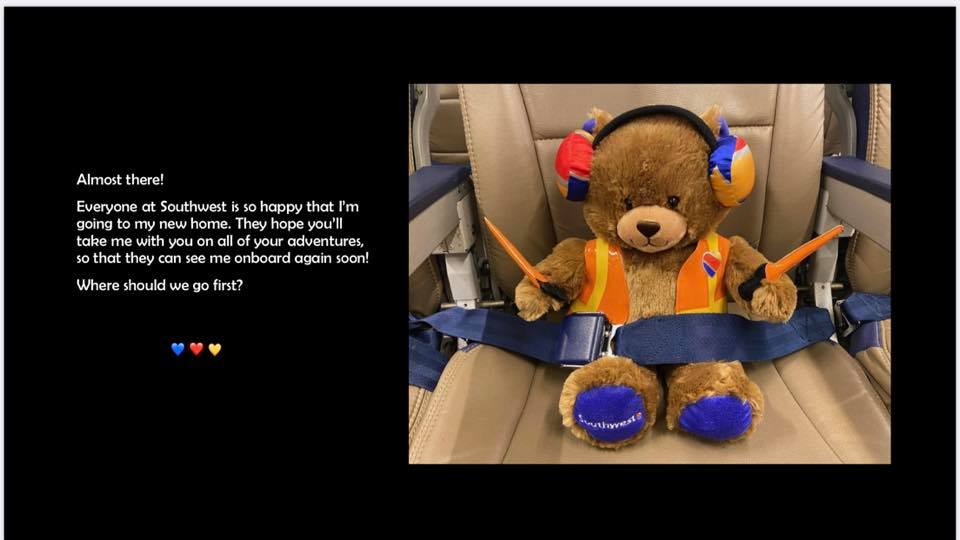 a stuffed animal wearing headphones and a seat belt