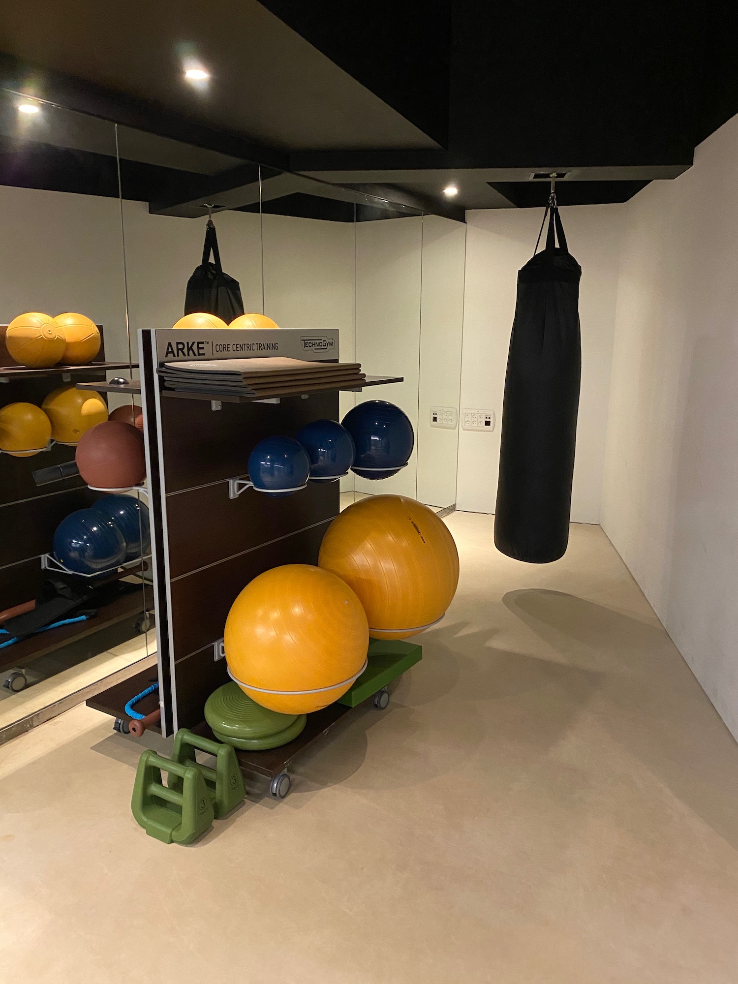 a gym with balls and punching bag
