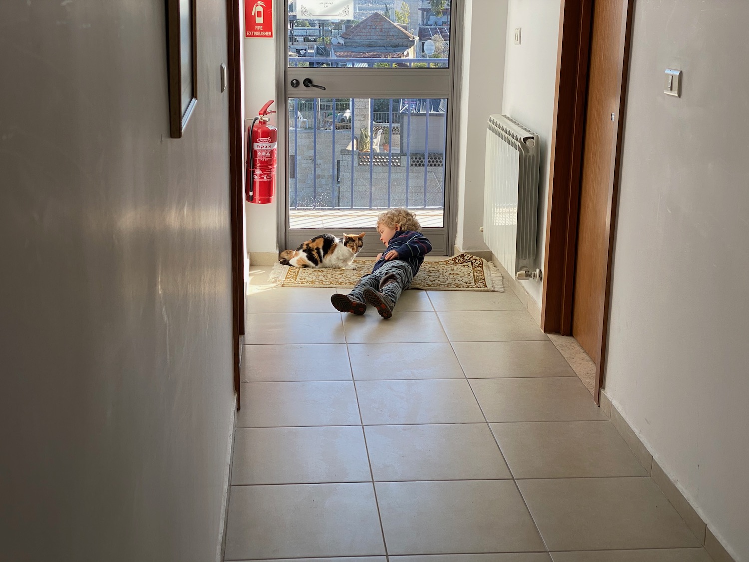 a child lying on the floor next to a cat