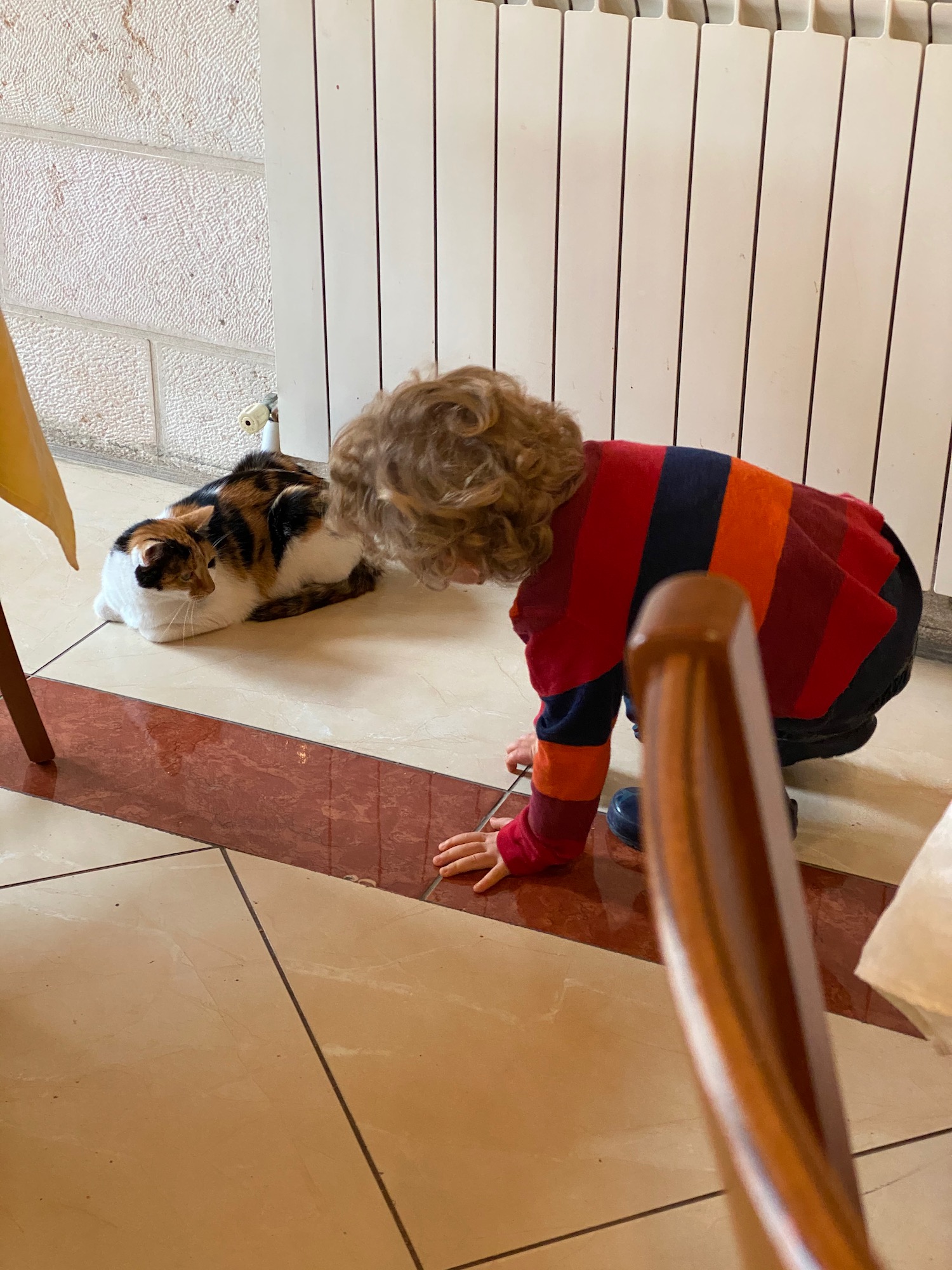 a child playing with a cat