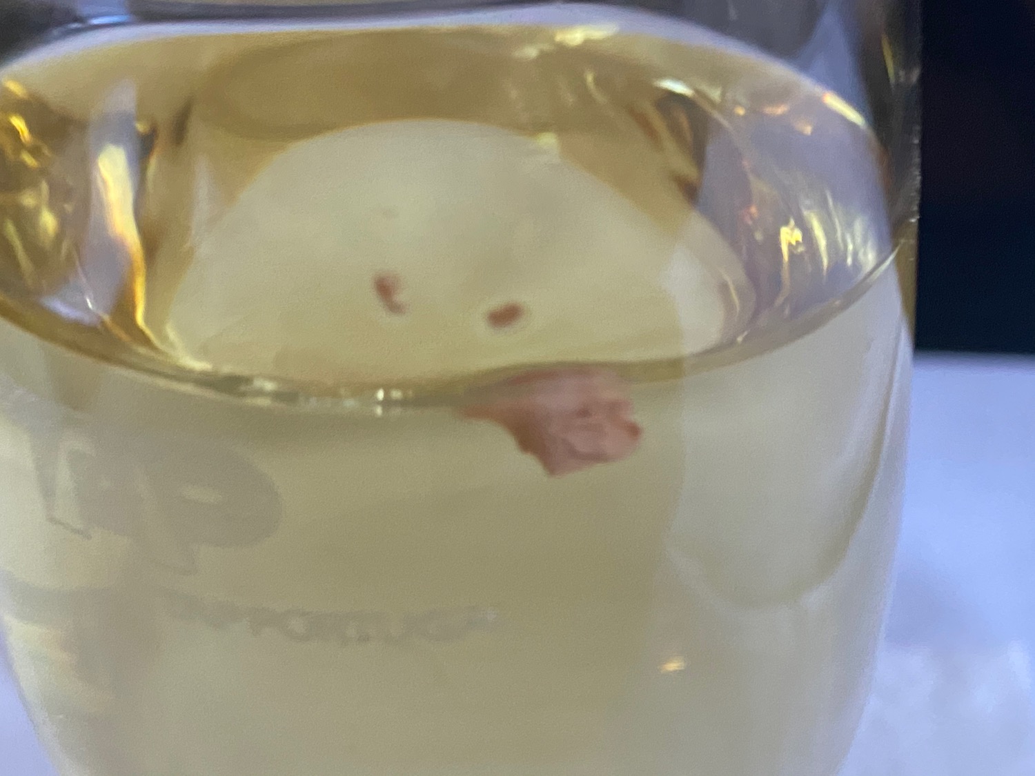 a small white object in a glass of liquid